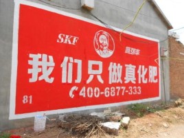 安岳刷墙广告”蕴含了时代命题