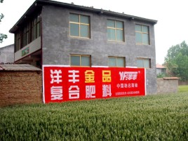 安岳如何让墙体广告展现最大化效果