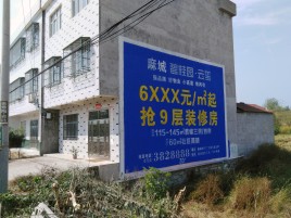 安岳墙体广告质量分析