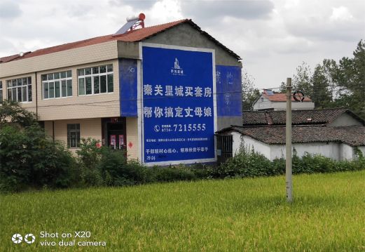 安岳决定墙体广告价格的因素有哪些？