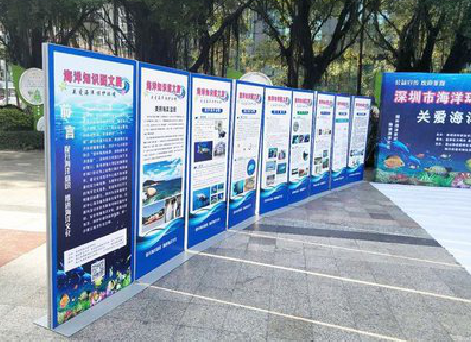 安岳KT板的种类和知识。